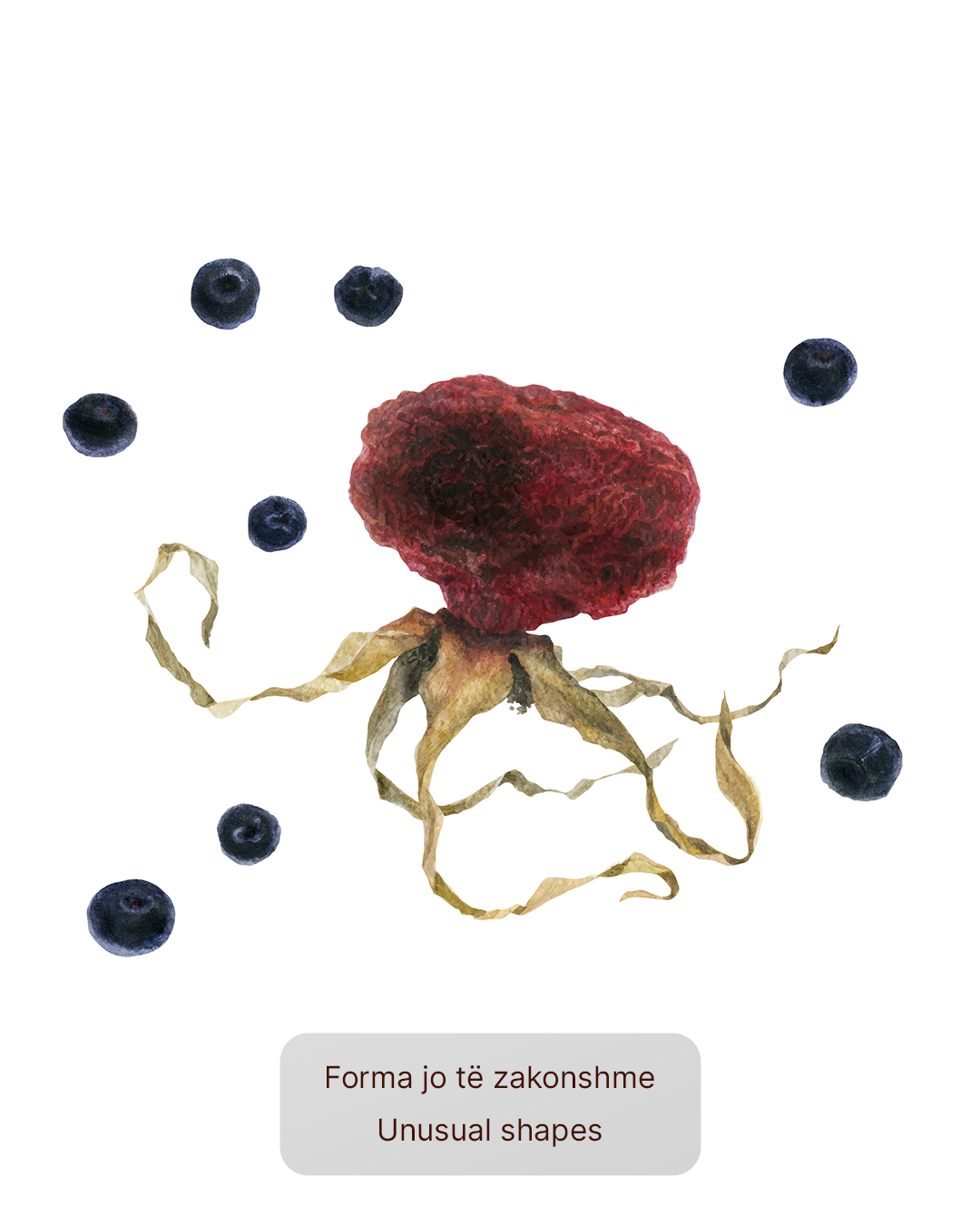 Thana & Redon prezantim artistik i pjatave